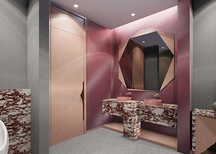 RL Grd Floor Toilet view2