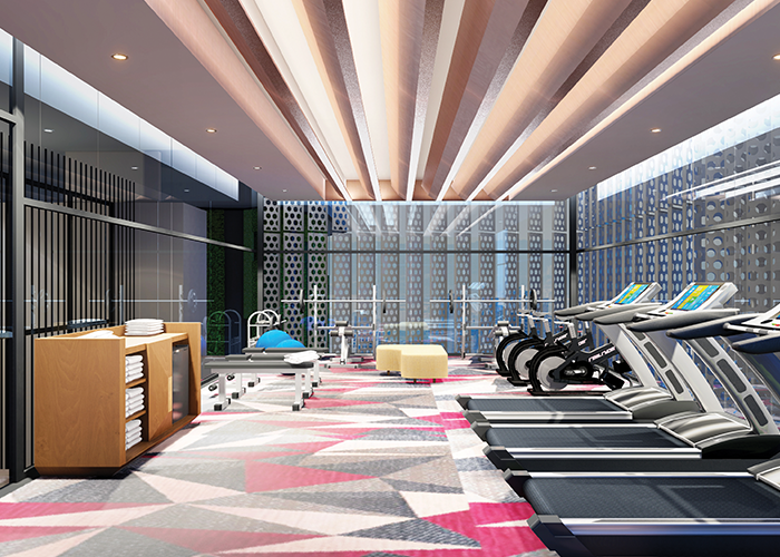 RL Gym view1